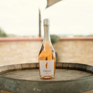 vin sans alcool, boisson sans alcool, boisson femme enceinte